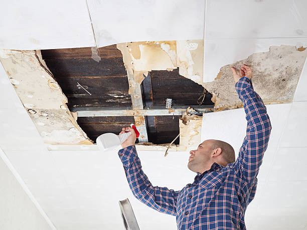 man cleaning mould on ceiling.Ceiling panels damaged  huge hole in roof from rainwater leakage.Water damaged ceiling .