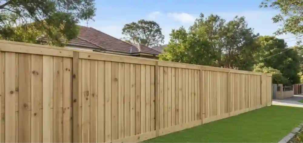 Timber Paling Fences